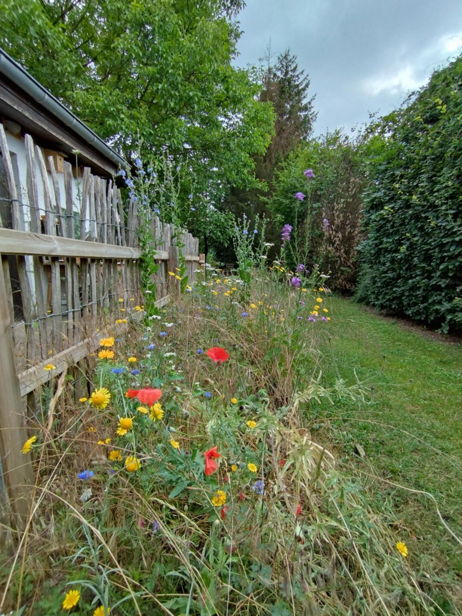 Hinkelshof - 3 Gaestezimmer - Naturnah, Oekologisch, Urig, Selbstversorgerkueche Apartment Korperich ภายนอก รูปภาพ